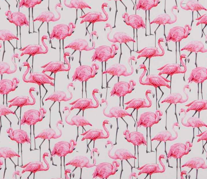 FLAMINGLIN