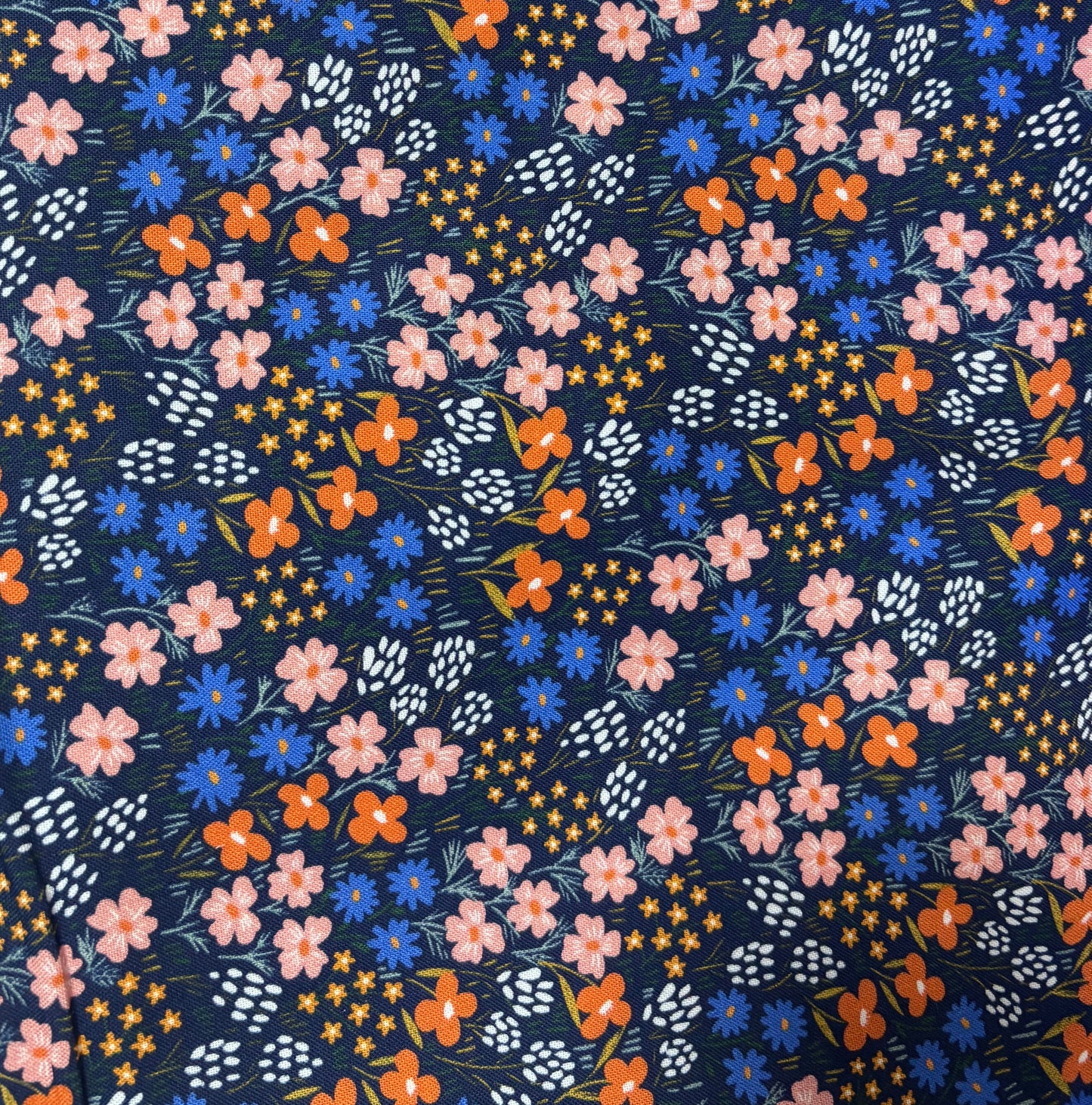 MIDNIGHT MEADOW