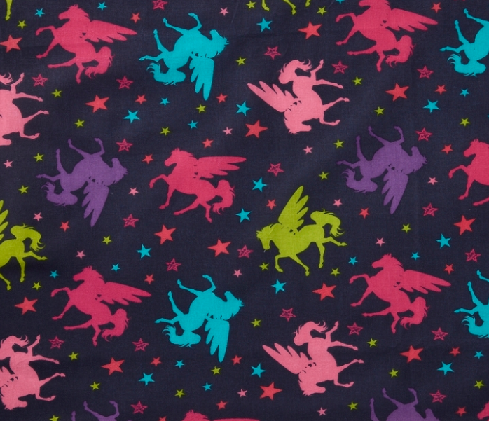 PEGASUS DREAM