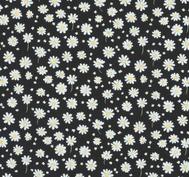 MIDNIGHT DAISY