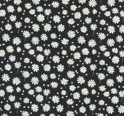 MIDNIGHT DAISY