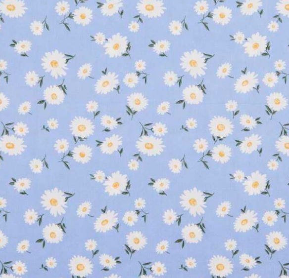 DAISY DREAM
