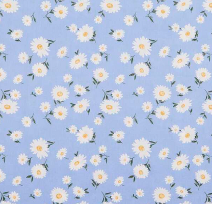 DAISY DREAM